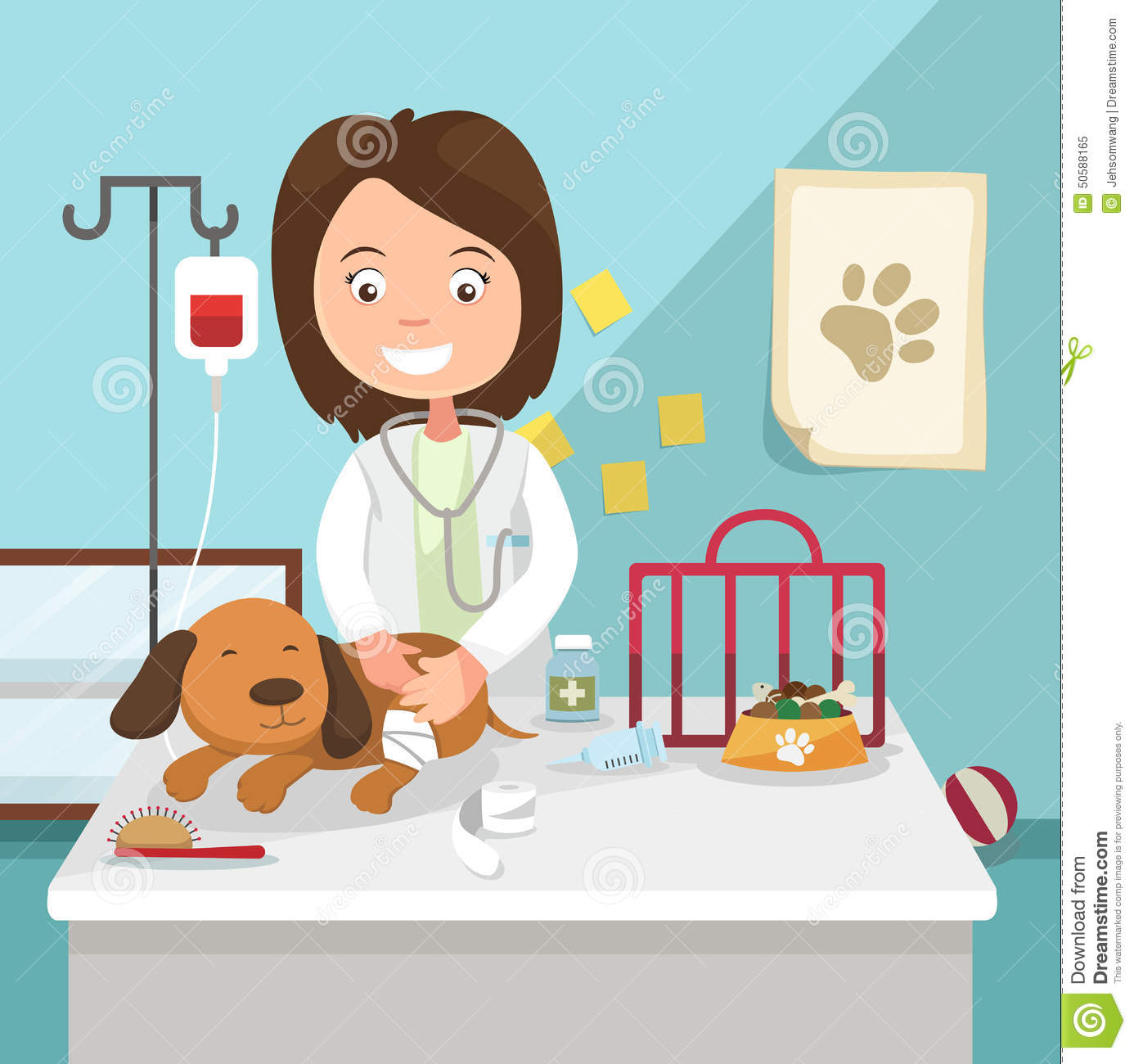 Fotos de Clínica Veterinaria Vetsalud Miraflores