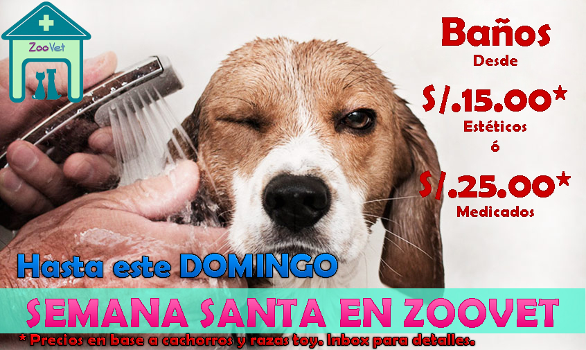 Foto de Veterinaria Zoovet Trujillo