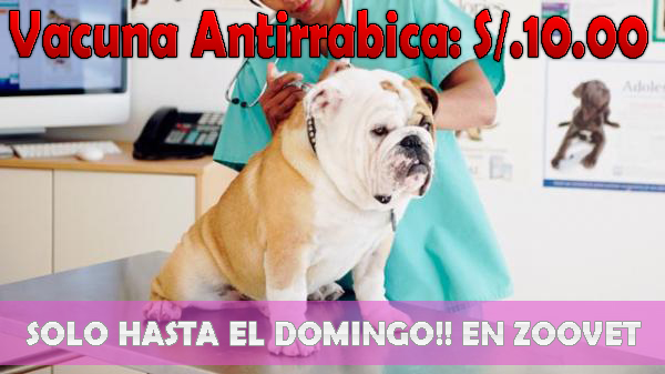 Foto de Veterinaria Zoovet Trujillo Trujillo